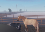 +Kawaii pony+