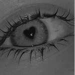 -CUTE HOU$E-