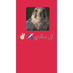 دوله النابلو