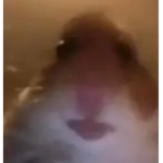 L cud cenucfenuccnu feun