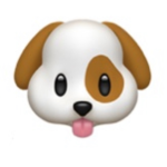 It‘s Doggie Time