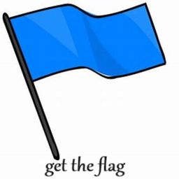Get the flag