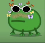 Frog vibes well never end