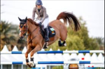 The strideway riding academy