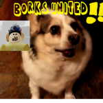 BORKS UNITED!!