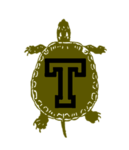 Tuttlez