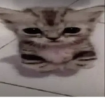มึงอย่าคิดเจ้าเข้ามาเอาโรบัคตรู่ฟรีนะ>:(