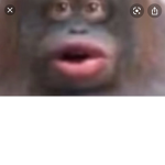 Hello boiiii