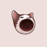 POPCATS UNITED OFFICIAL FAN GROUP!