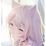 kitmeow