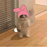 Bl00dy bxrrys