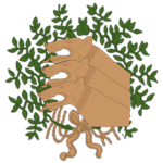 SPQR Colleges