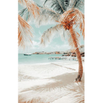 -Encanto Fan Group-