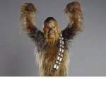 Wookie's of Kash