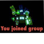 VIP bonnie group