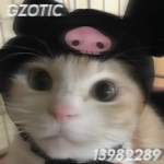 GZOTIC