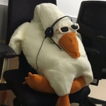 The epik basement