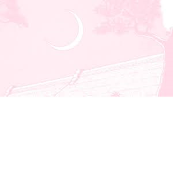 🌸Tower of pink🌸
