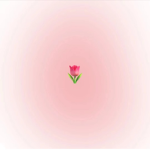 仙女小小花园