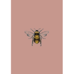 The Bee Fan Group!!