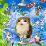 Shyrun