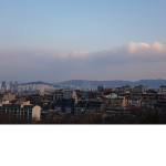 로블록스 태권 그룹