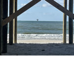 I love the ocean love