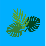Air Kapalua