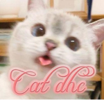 catdhc