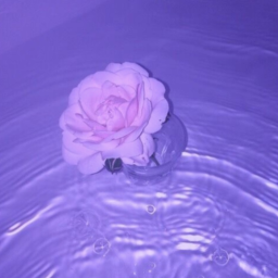 𝐟𝐢𝐭𝐬 𝐨𝐫