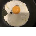 Egg Is No Tribe