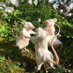 Group Thumbnail