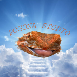 Pogona Studio