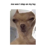 Memes yes :))))