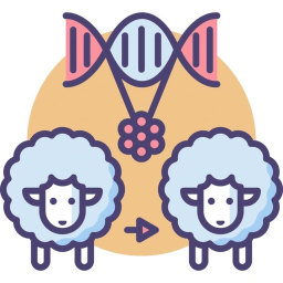 Clone Creator