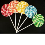 lollipop_2025 squad