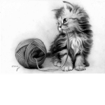 KittenSoFriendly