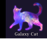 Kitten studio’s