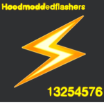 Hoodmoddedflashers