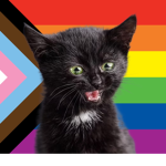 LGBTQ+ kittens!!!