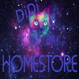 DIDIs Homestore