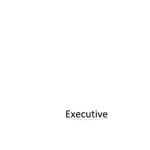 RP Server Ranks; Executive Branch