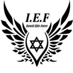 The X-Elite Force