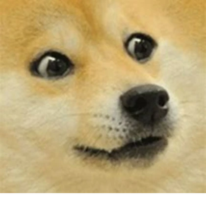 The Doge Familys Roblox group icon
