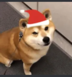 SHIBΔ