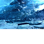 Ice Armyy