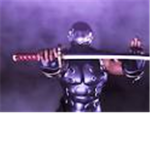 stealth ninjas and assassins group