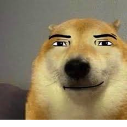 meme racers alpha