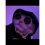 riley_xd10