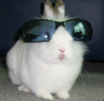 bunnyrblx’s group